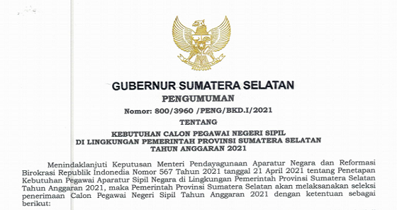 Resmi ! Daftar Rincian Formasi CPNS & PPPK Pemprov Sumatera Selatan Tahun 2021